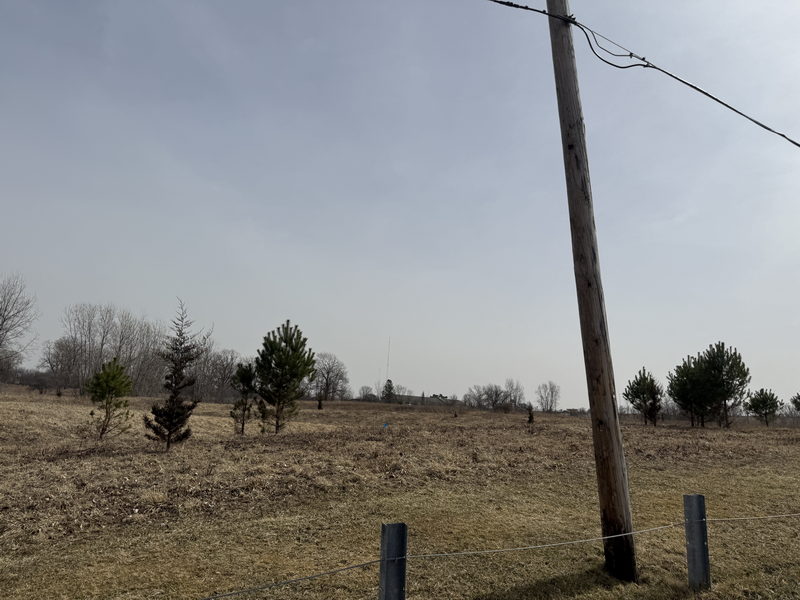 Pierce Municipal Park Golf Course - March 15 2025 Photo (newer photo)